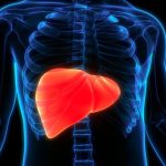 fatty-liver-1024x585-1.jpg