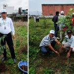 tree-plantation.jpg