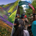 vally-of-flowers.jpg